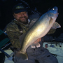 walleye ice fishing guide service for Lake Winnipeg